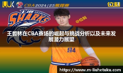 王哲林在CBA赛场的崛起与挑战分析以及未来发展潜力展望
