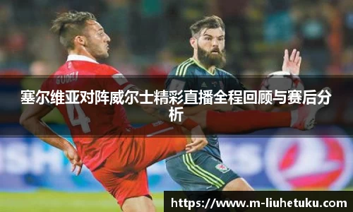 塞尔维亚对阵威尔士精彩直播全程回顾与赛后分析