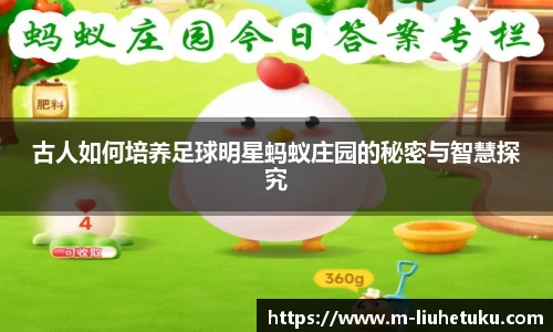 古人如何培养足球明星蚂蚁庄园的秘密与智慧探究